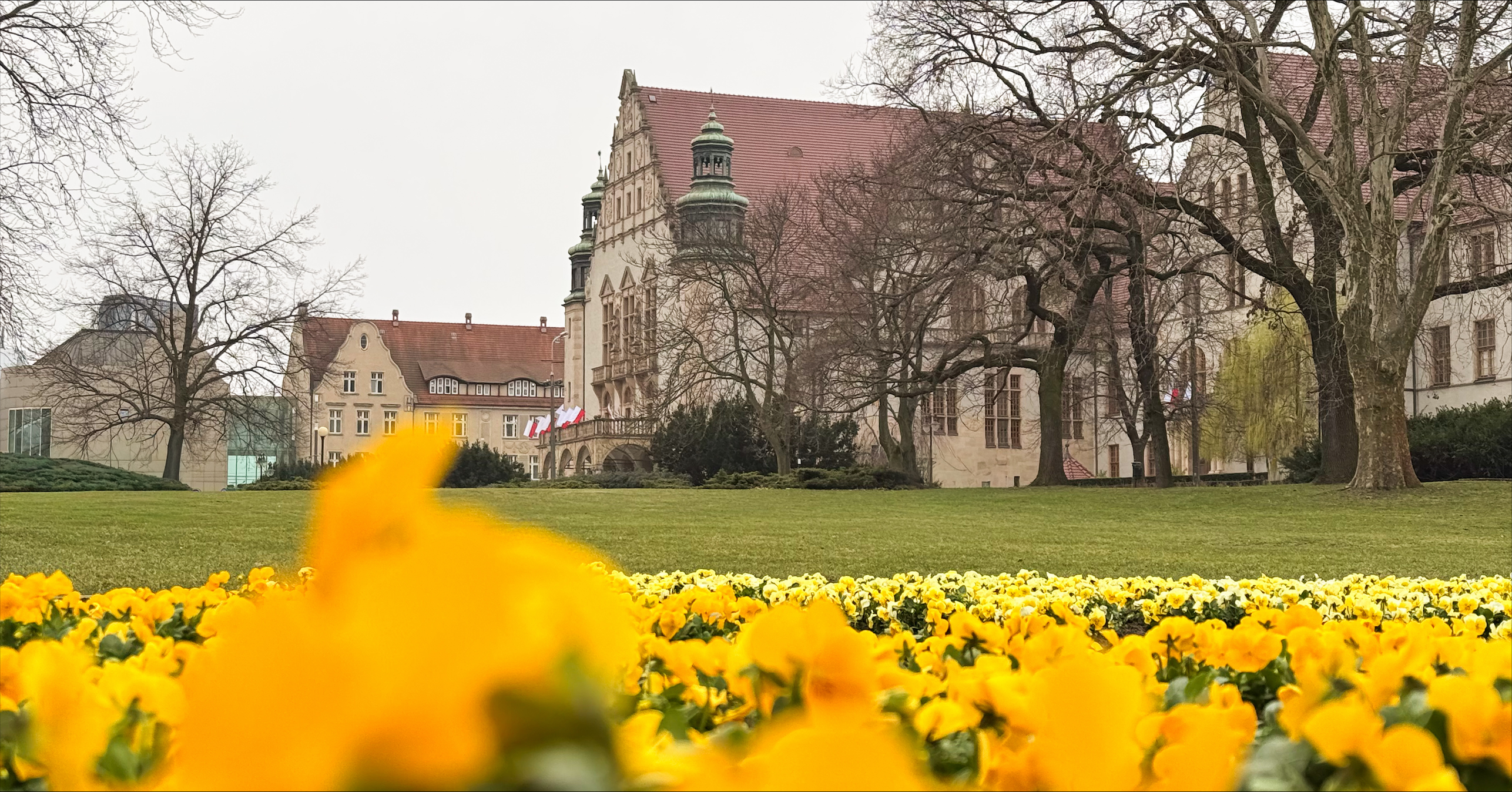 UAM Poznań wyżej o 144 pozycje w rankingu QS World University Rankings by Subject 2026